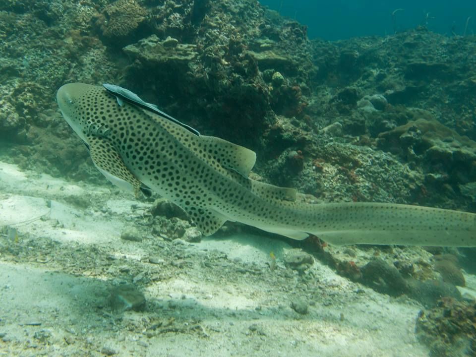 8cbd2b57-9e4f-4954-8ea0-cc67a0420142