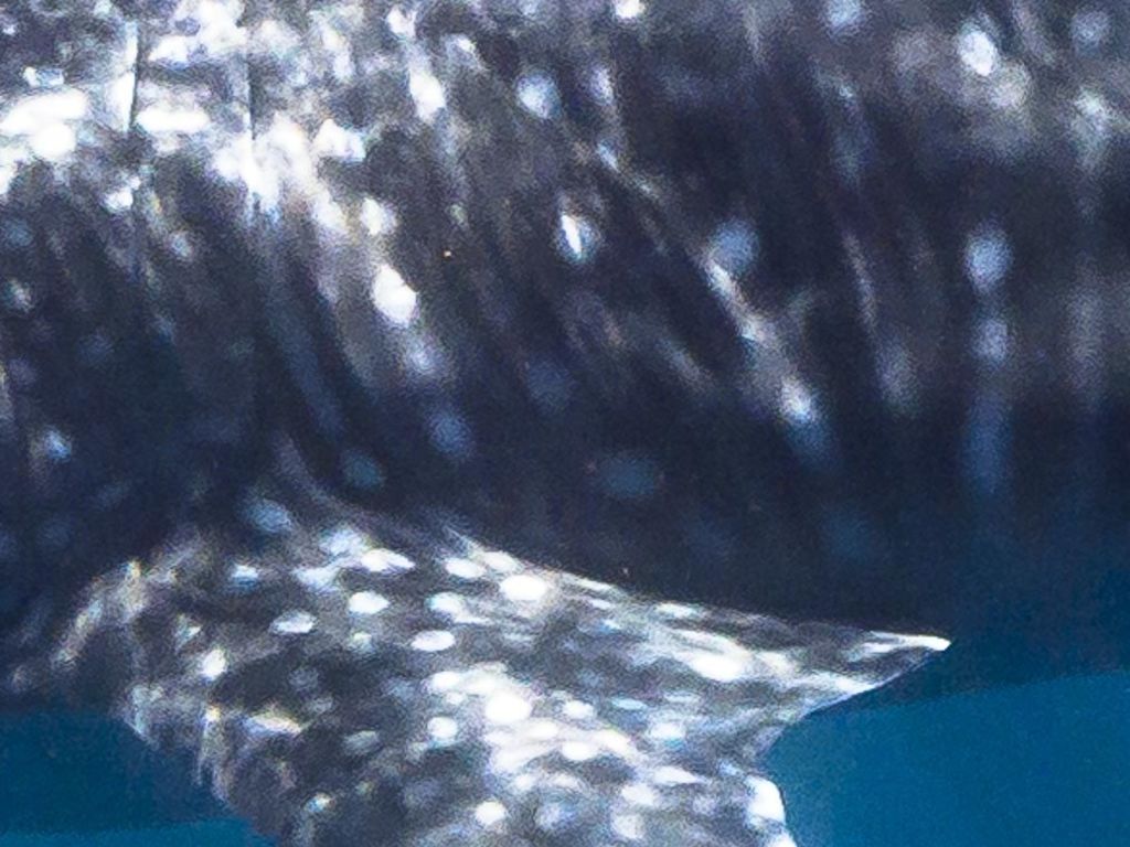 be7397a0-59ec-4fc9-a954-ddd8b86460f0