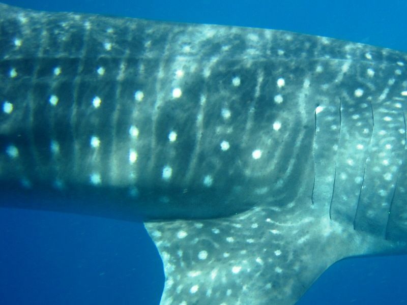 2f10490b-aa19-4b10-81d3-b1bf3ab5f9bc