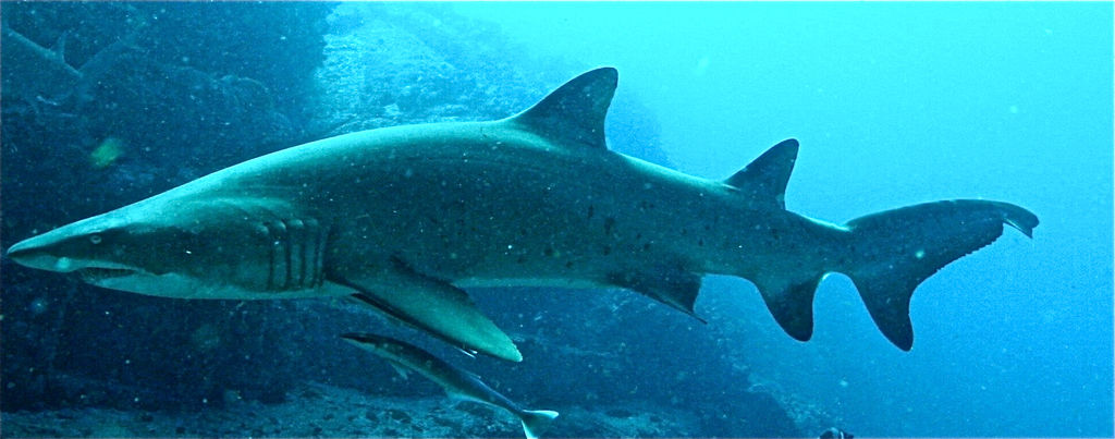 6b0050bf-a80e-4665-8006-603cf93db6f1