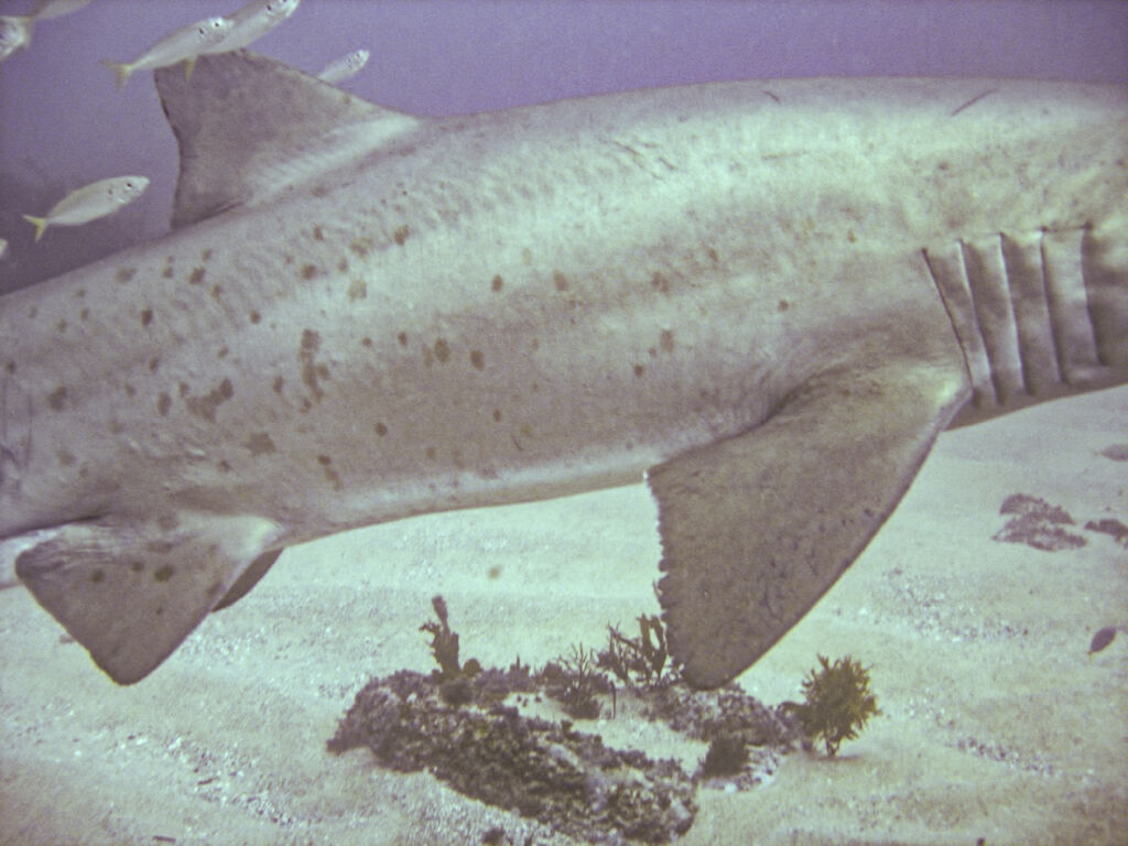 14579da4-152a-4f49-9842-5100aac03d26