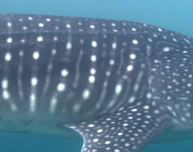 a0846434-7871-4a38-af2a-cc37c119bca8