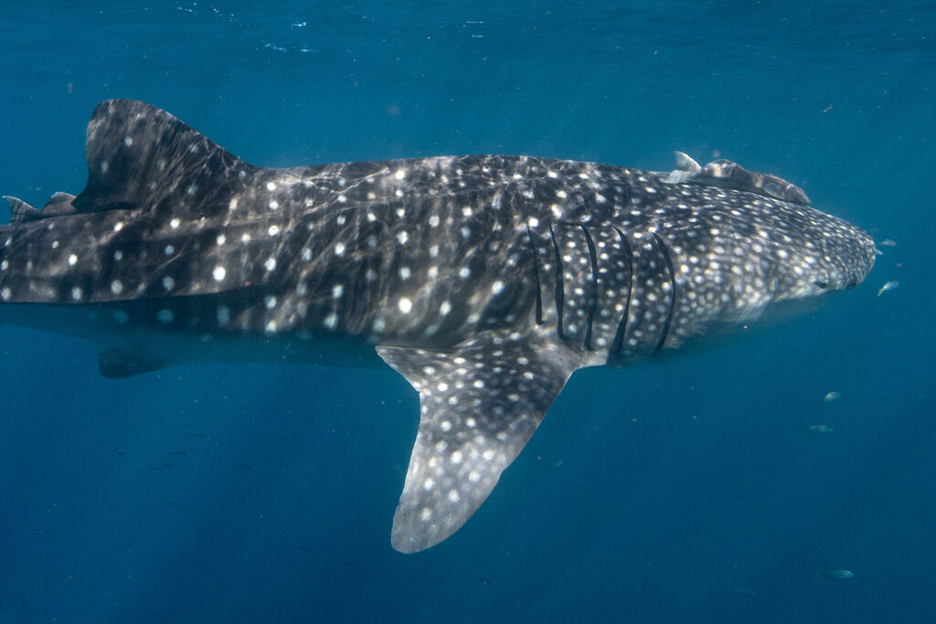 2b1c94fc-40a1-4e50-a812-09bcd51ac9fc