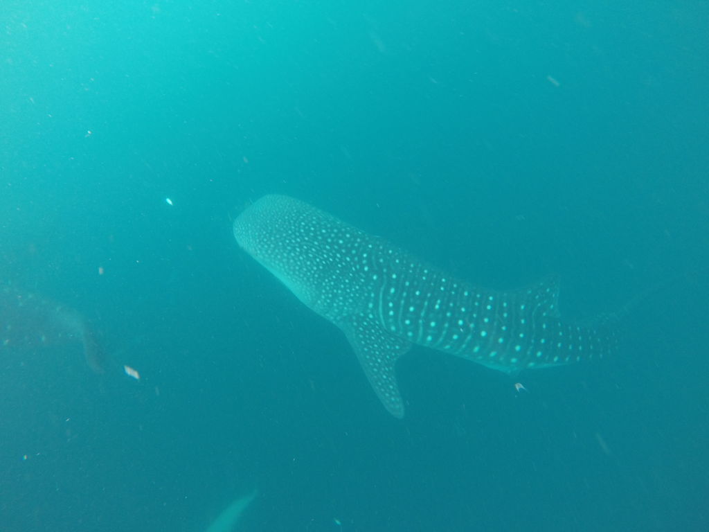 f727d270-26de-4343-bb2e-1c0015b27456