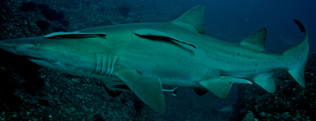 393102ae-6ca0-40ac-b34b-41b623ae4361