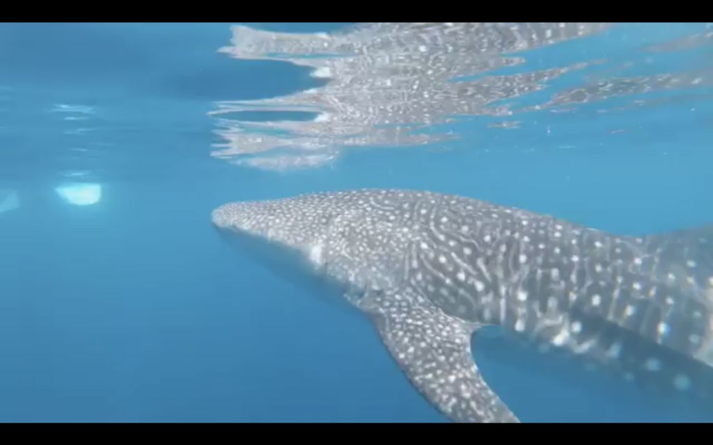 a099bc06-bda4-46db-93a2-d58a10e650fc