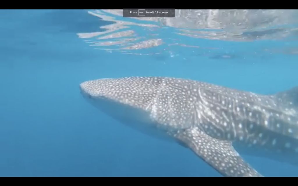 a099bc06-bda4-46db-93a2-d58a10e650fc