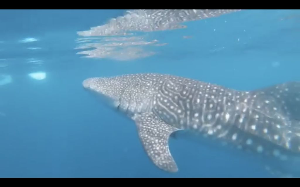 a099bc06-bda4-46db-93a2-d58a10e650fc