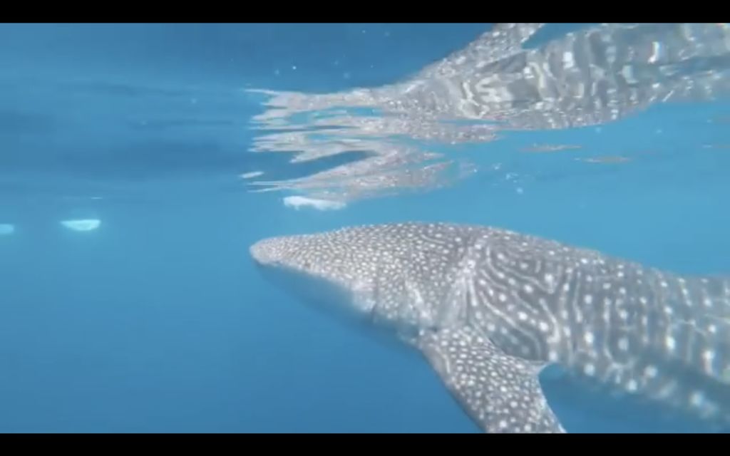 a099bc06-bda4-46db-93a2-d58a10e650fc