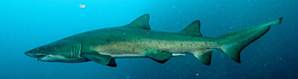 60c48a8e-264d-4839-b0db-2efa3e76a14e