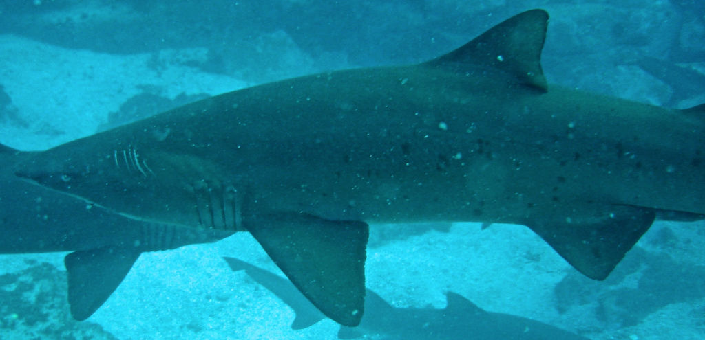 5fa9433b-9662-4709-9703-728f168ec0ac