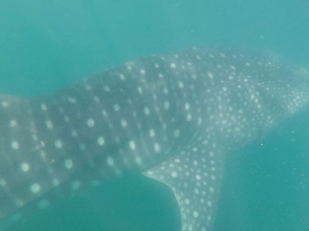 5900f4be-7791-4aab-9a38-1a7f2d5249d4