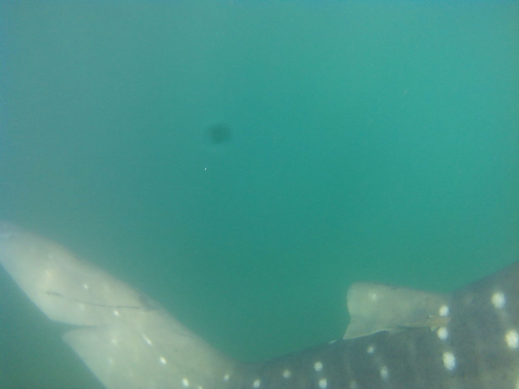 5900f4be-7791-4aab-9a38-1a7f2d5249d4