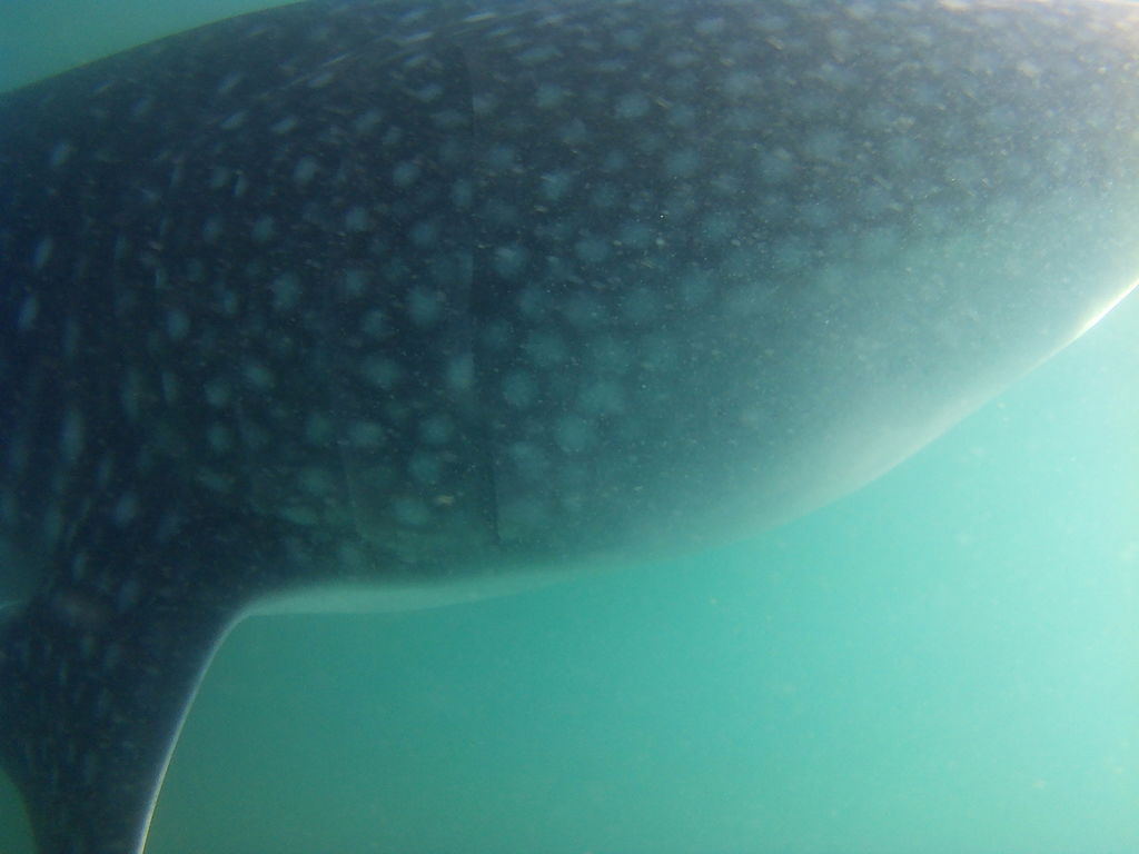 5900f4be-7791-4aab-9a38-1a7f2d5249d4