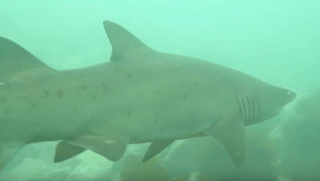 44bd9db7-4b90-4371-933a-74761b49d32a