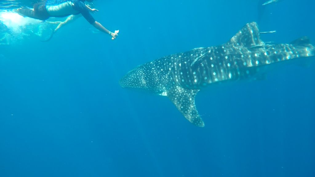 fd7c2e42-2e8c-4ebe-88f3-1557d36e701b