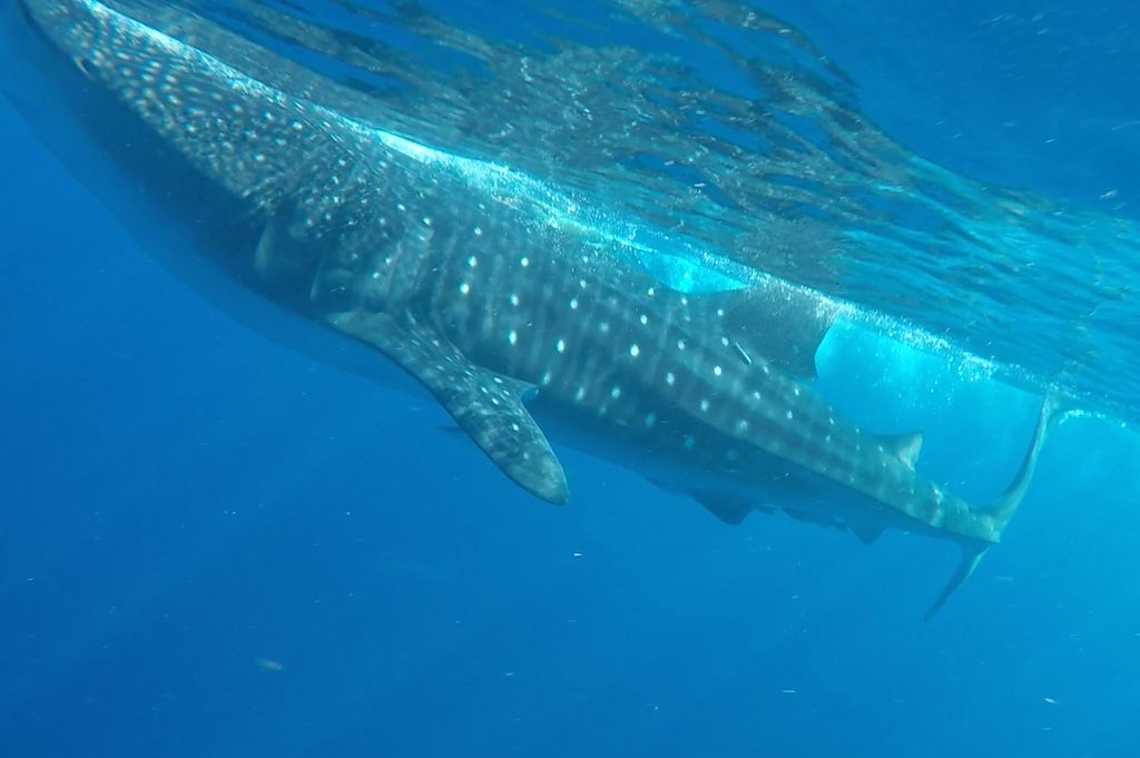 d346ca2f-0ba2-408b-84ce-6a5fdd01a1bf