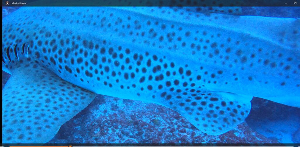 84bc55d0-b71f-4201-914f-e5893449a51e