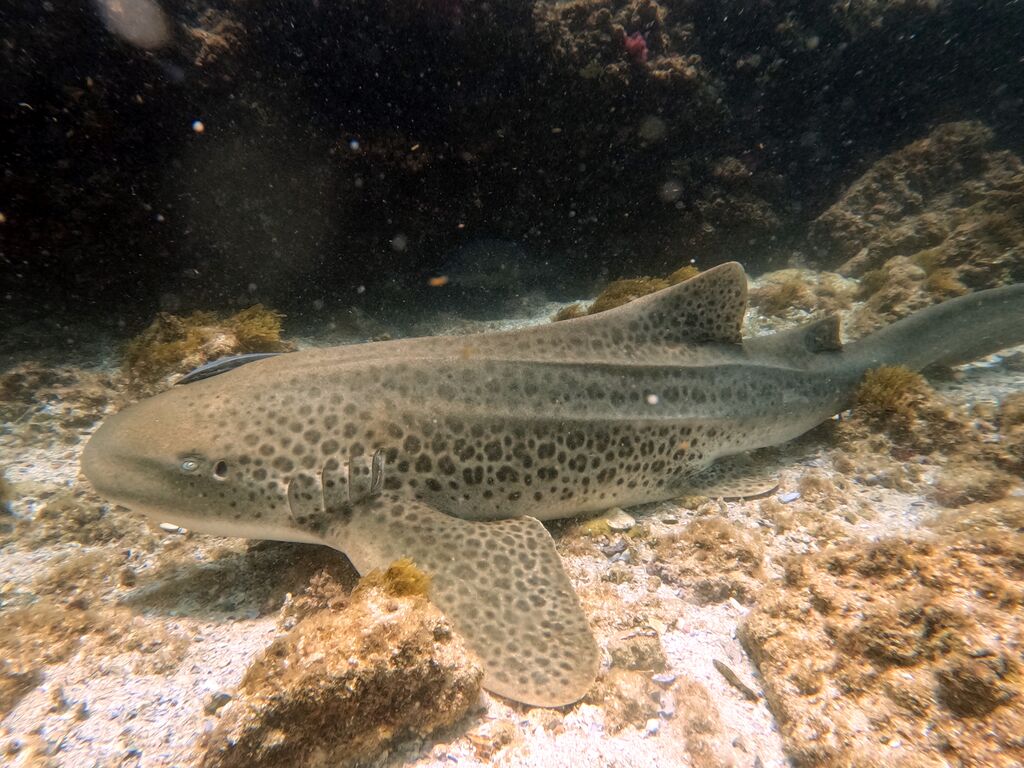 877aebb6-d4c5-41b8-9c0c-05c1d5b07892