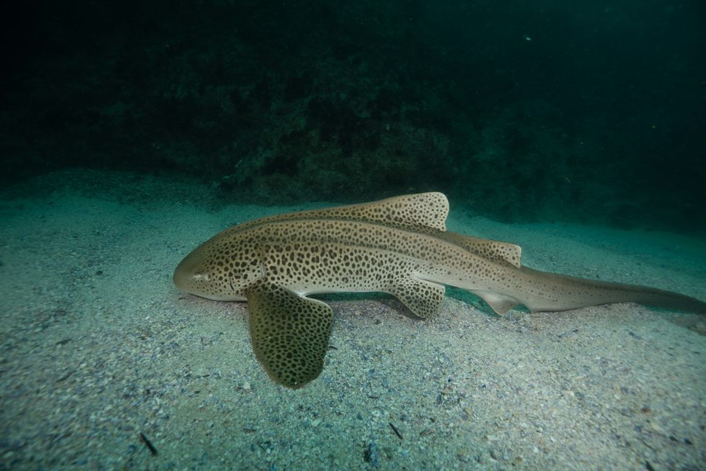 3844dabb-bcab-4cea-a690-0ea748d52171