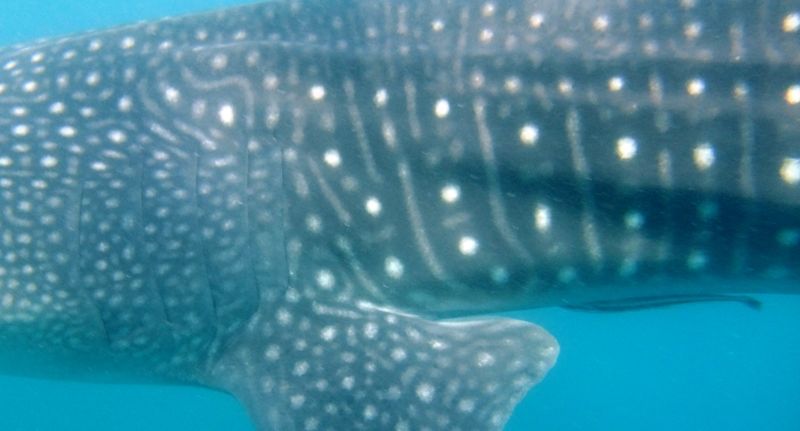 b634b657-863a-4971-b729-1caf4dfde80a