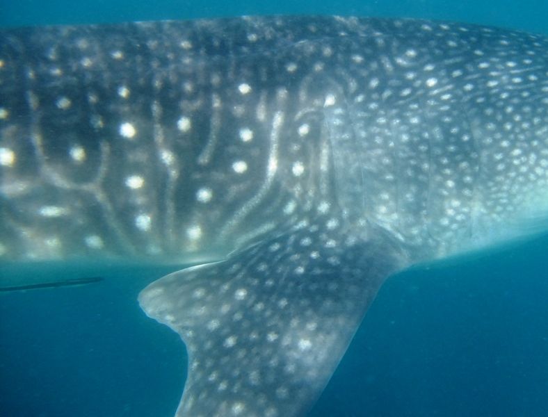 b634b657-863a-4971-b729-1caf4dfde80a