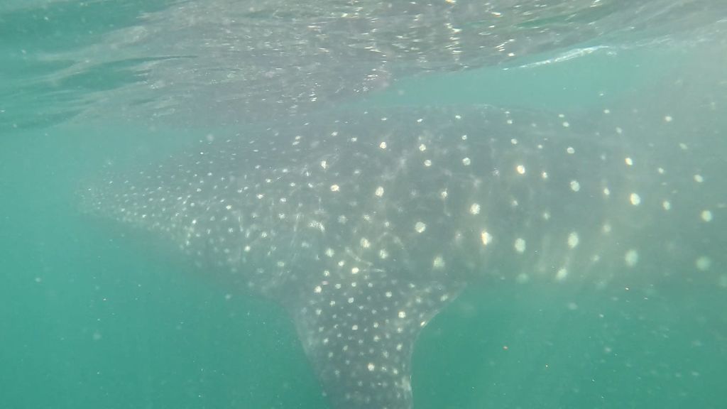 d11c287d-02ac-40ca-adfa-16043d81d9f4