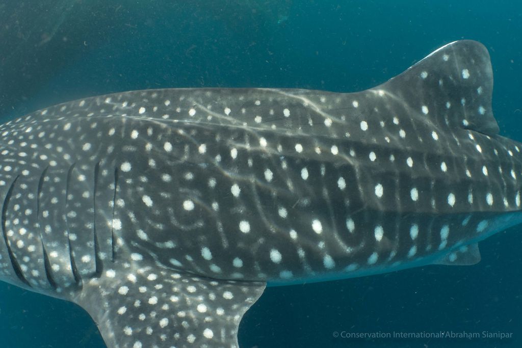 0be011a8-6fee-49db-9d11-2367e94becd4