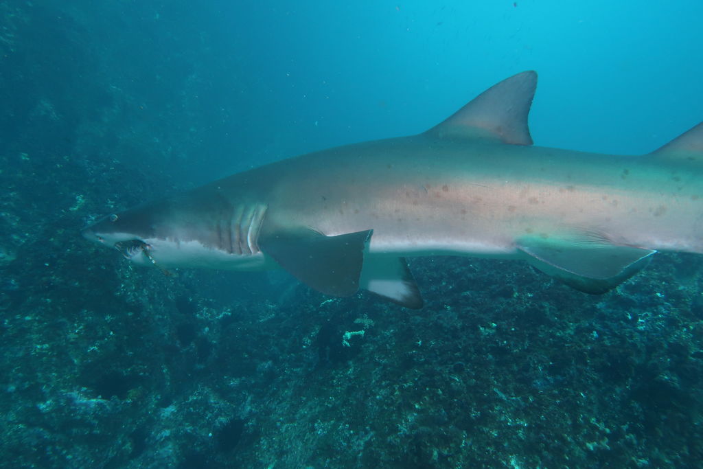 3c52461f-90b3-44f7-bda0-ecc1d3c76dd2