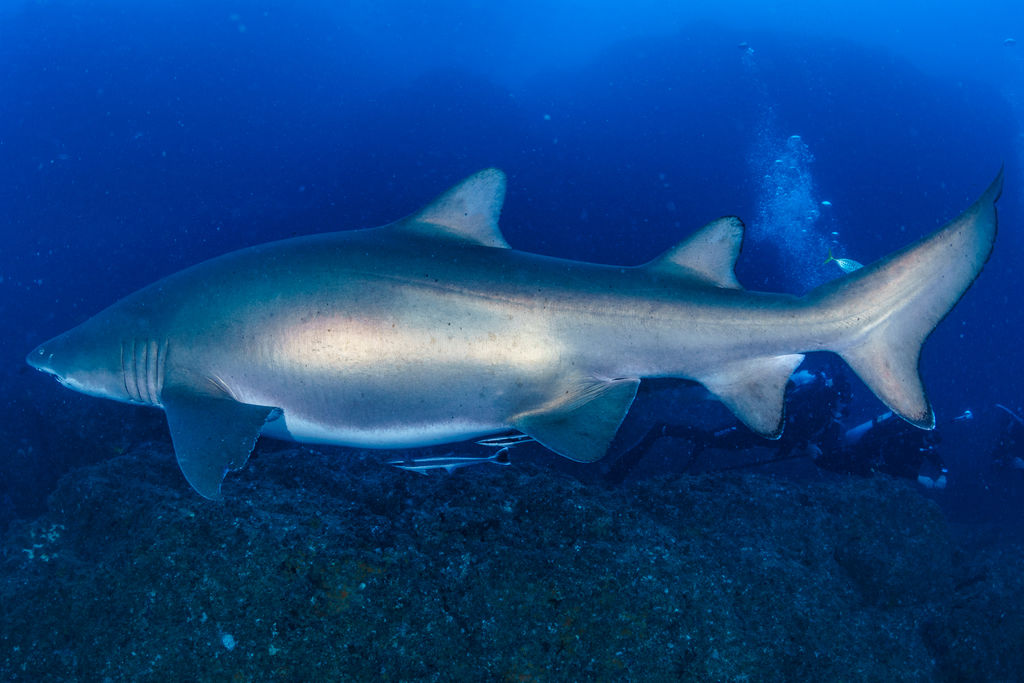 582d1773-2649-4879-ab6a-1ab7f0002575