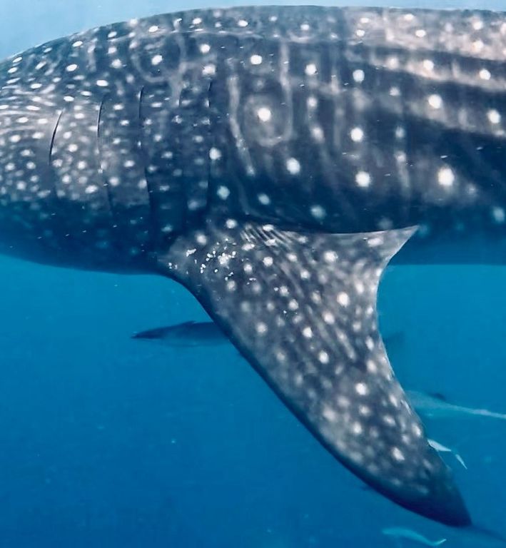 ee594a7a-2236-4fa2-9b6d-f454bf1db46a