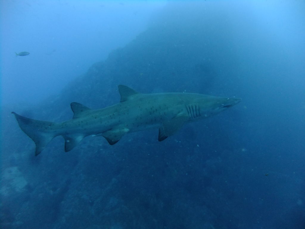 e30df41c-d258-4b16-ac21-d8d6e36d99ae