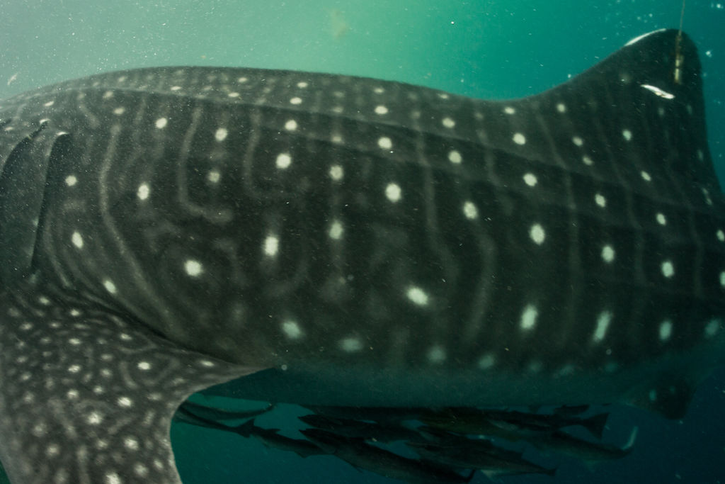 57127a28-06fd-4765-8d4e-2074877c90ca