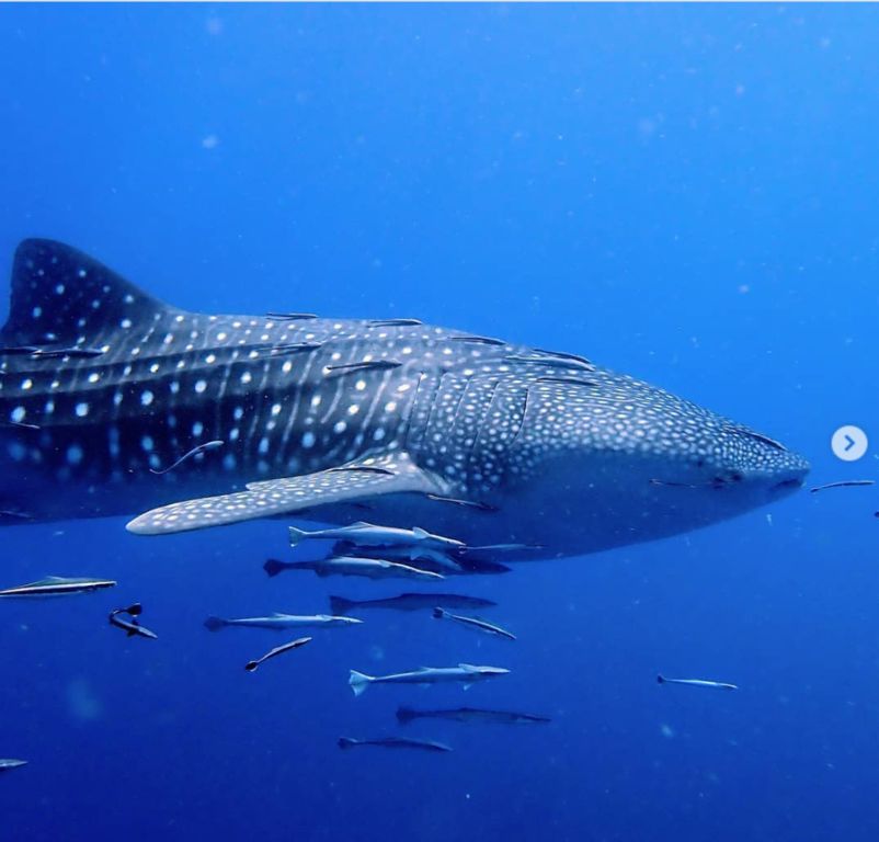 dee28ab0-f64a-4134-9585-501b760c7560