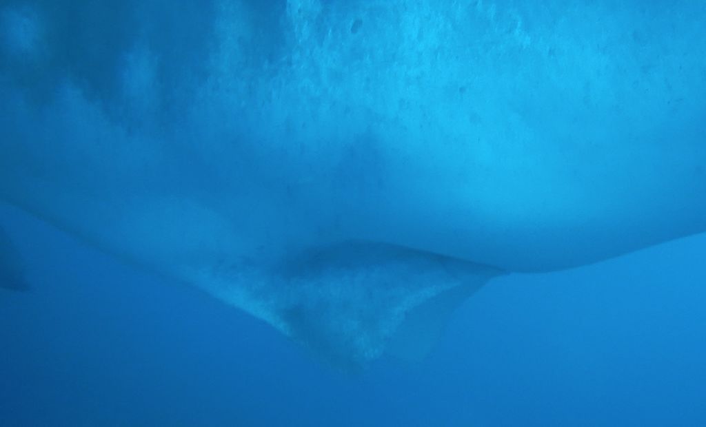 a2d08663-c61a-4740-8441-4d4d49293390