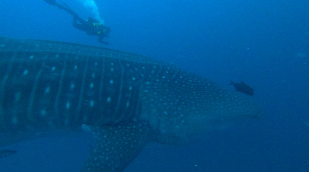 a2d08663-c61a-4740-8441-4d4d49293390