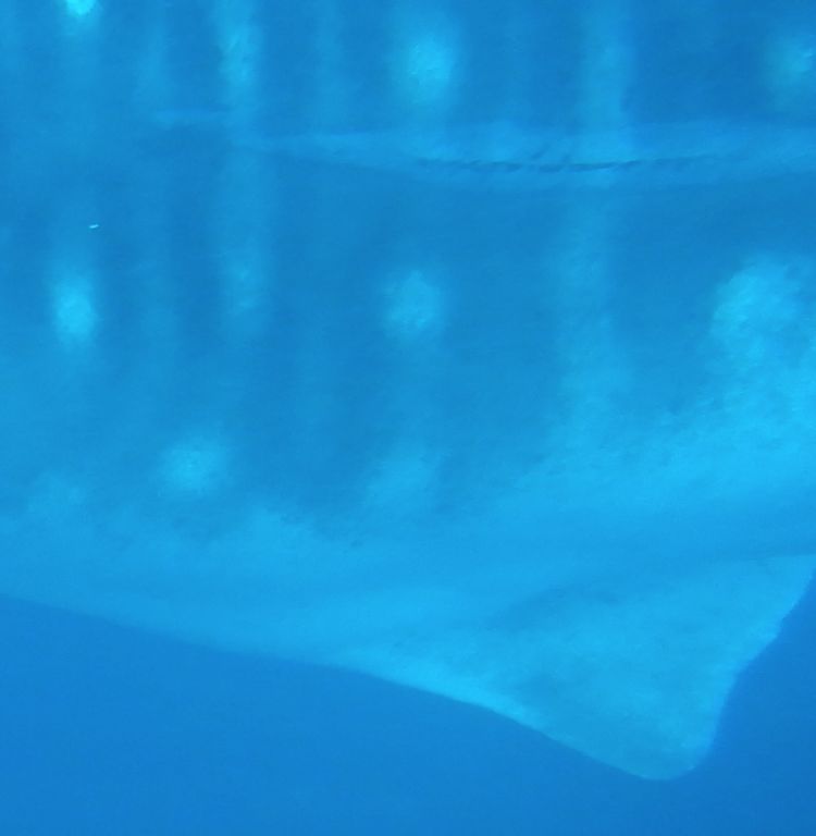 a2d08663-c61a-4740-8441-4d4d49293390