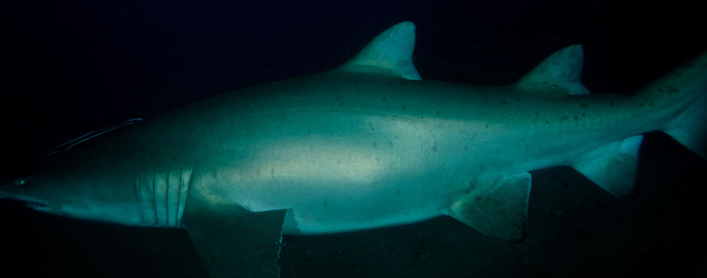 433006b8-c95f-4c07-8a4a-6a8f76136a99