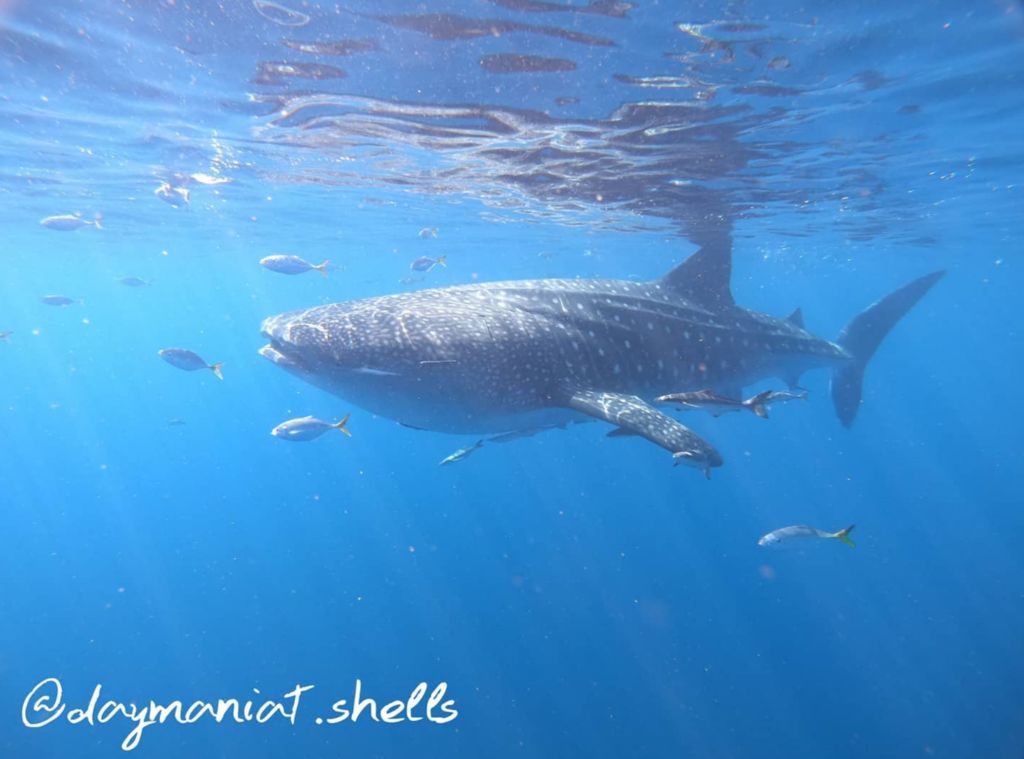 acbc8083-e1db-4230-9afb-fc38bd59e727