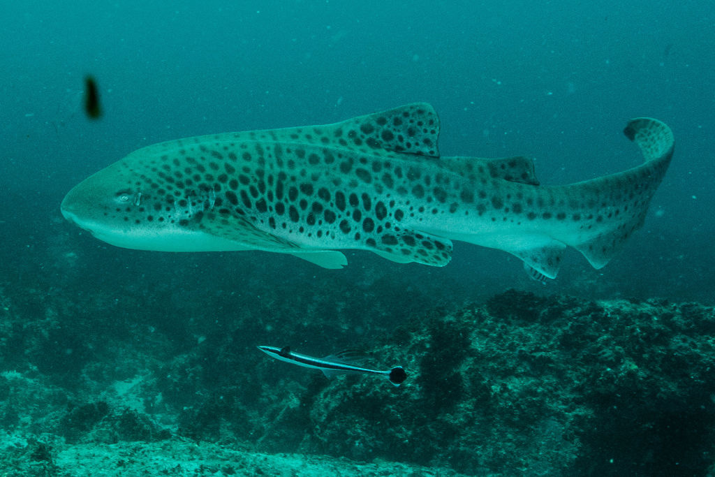 2c627c72-fb02-4b39-8b0e-5a569af7a169