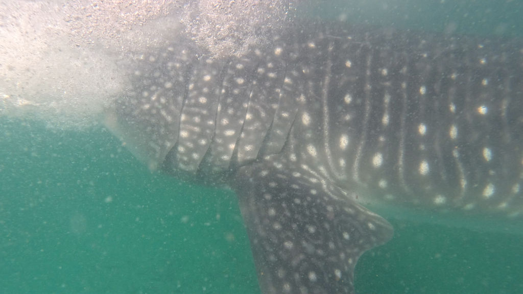 17144daa-32ba-48a0-b9a9-f4349556bc0e