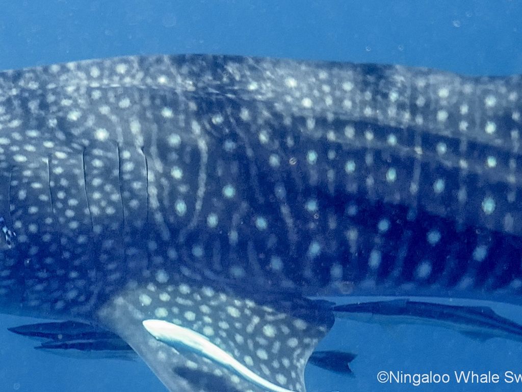 6c3cb173-e91f-4bd2-8123-f10de6623672