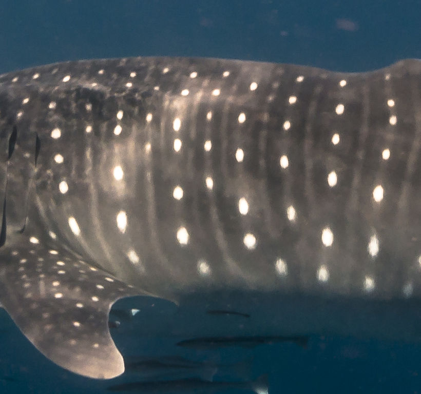 039d58f3-5d21-4396-b27b-76ffe8bef114