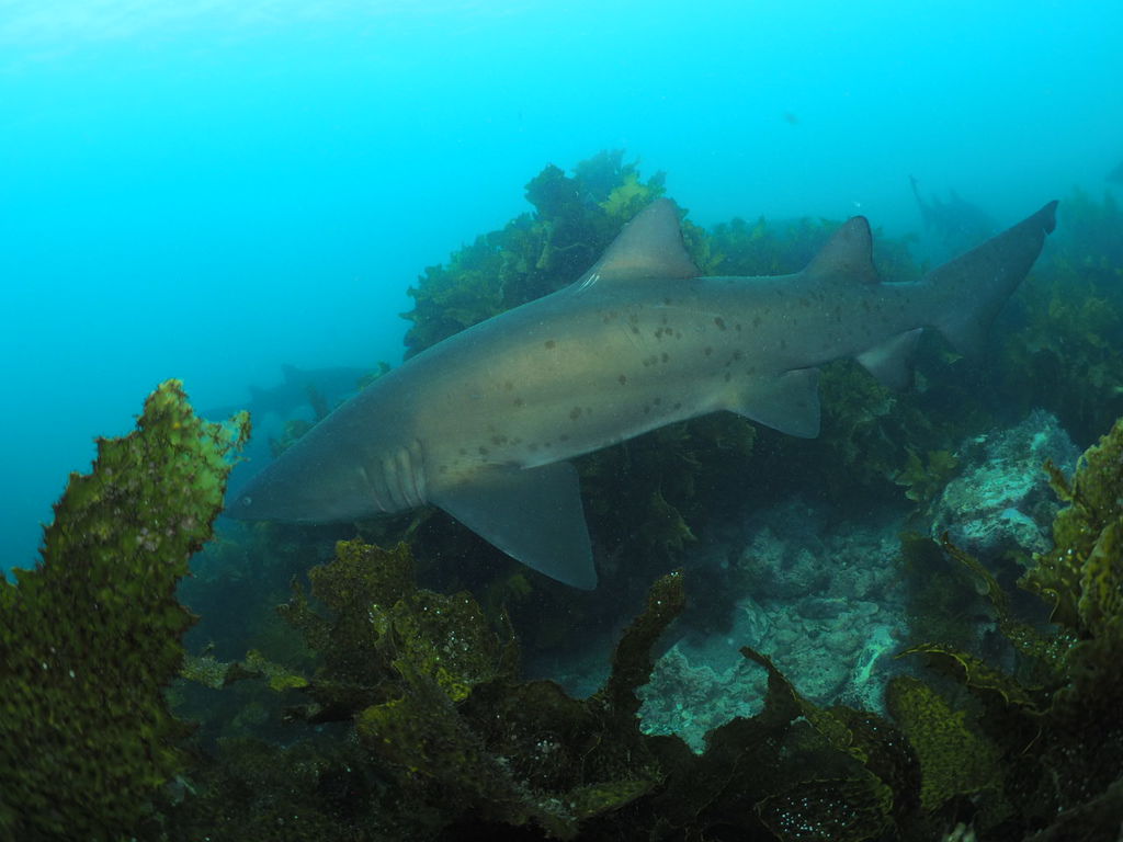 26738ced-c33a-4d64-a4b1-5671064c1aea