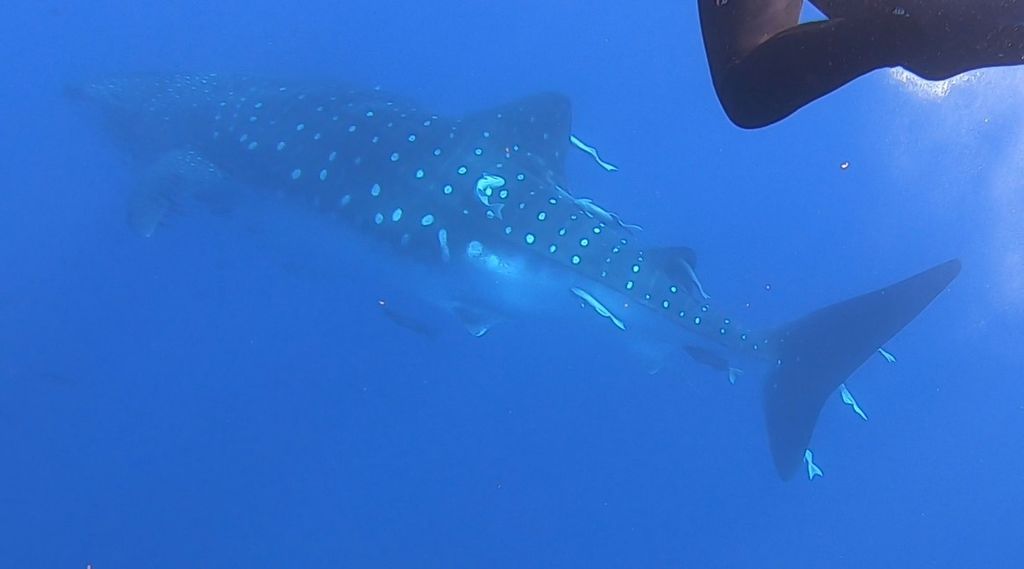 de5d7324-0e42-41a4-ae16-1a6acdacdd25