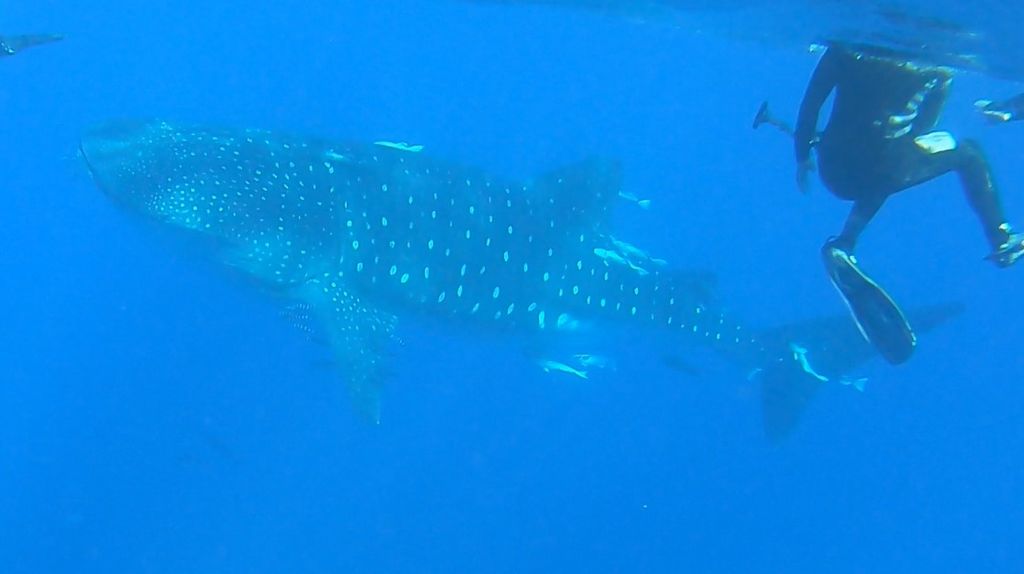 de5d7324-0e42-41a4-ae16-1a6acdacdd25