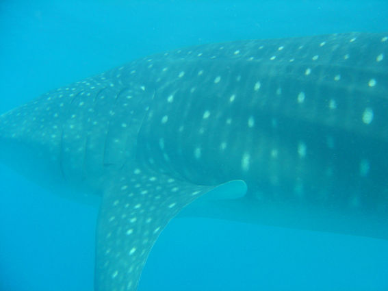 e3e850f0-f649-469a-8d4a-1a722de42fc8