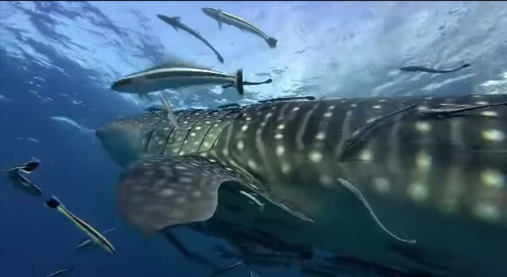 07c8e1d0-6604-41ec-b3d9-3ee8cd1785e8