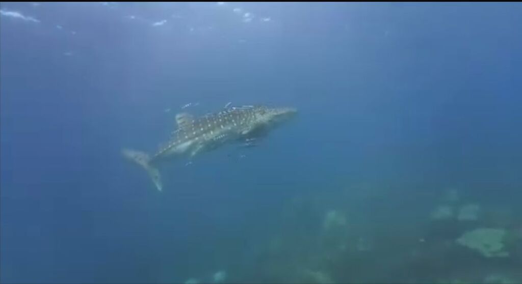 07c8e1d0-6604-41ec-b3d9-3ee8cd1785e8