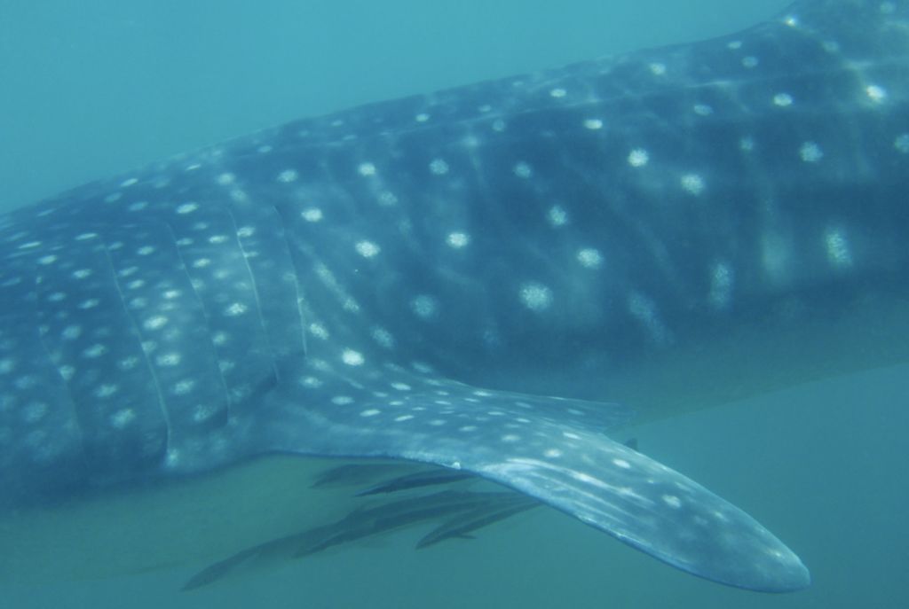 03625659-09eb-4ac3-a72f-2fb9f06c2d5e